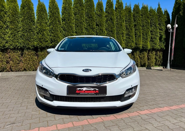 Kia Ceed cena 25900 przebieg: 216281, rok produkcji 2013 z Recz małe 704